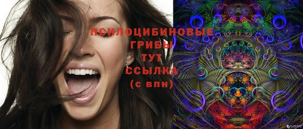 таблы Алзамай
