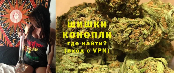 spice Липки