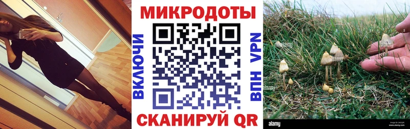 Галлюциногенные грибы Magic Shrooms  Чадан 
